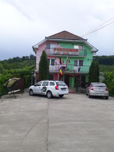 Фотография гостевого дома Pensiunea Vidra