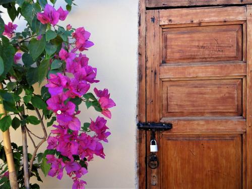 Фотография гостевого дома Riad Dar Eternity