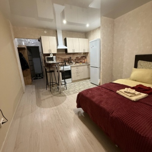 Фотография квартиры Апартаменты Студия в Кировском районе