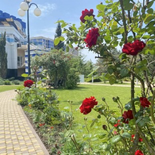 Фотография квартиры Аквамарин Resort Apartments (Резорт Апартаменты)