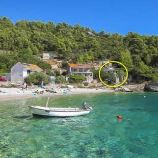 Фотографии гостевого дома 
            House Herta