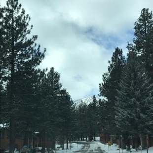 Фотография гостевого дома Mountainback #111