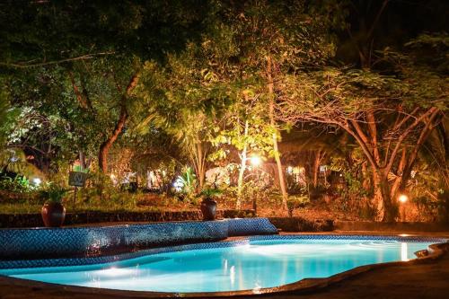 Фотографии гостиницы
Sharazad Oasis Retreat