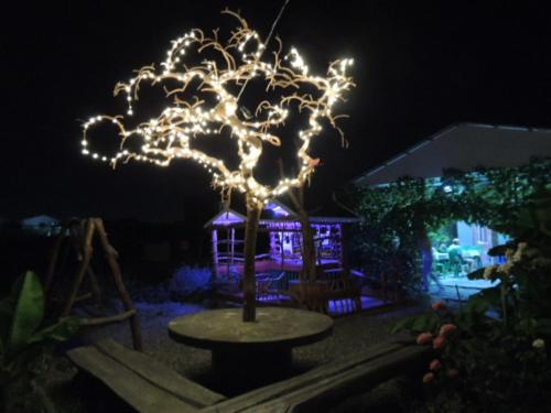 Фотографии гостевого дома 
            Золотая Рыбка