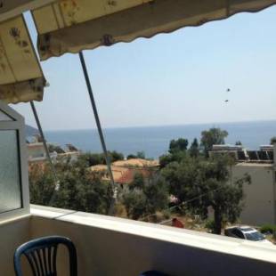 Фотографии гостевого дома 
            Hotel villa Petro