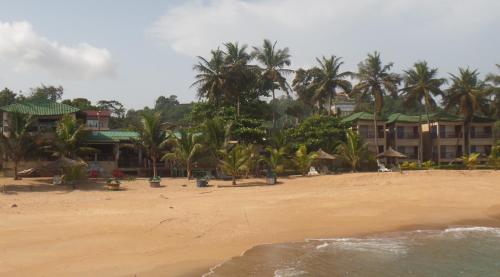 Фотография гостиницы Hotel Palm Rock Beach