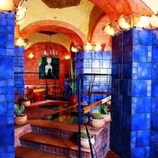 Фотография гостиницы Кактус