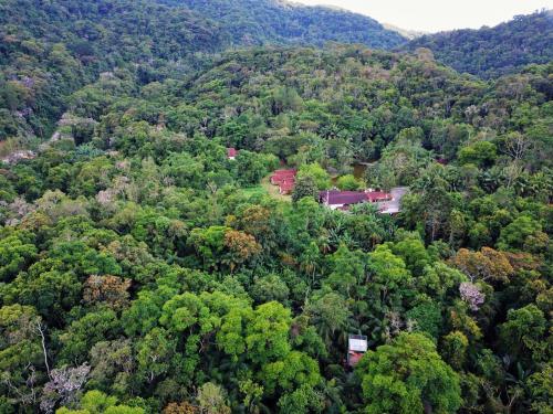 Фотография мини отеля Pousada Salve Floresta