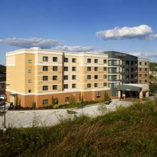 Фотографии гостиницы
Courtyard by Marriott Pittsburgh Washington Meadow Lands