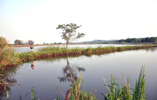 Фотография гостевого дома Poinsettia family Cottage
