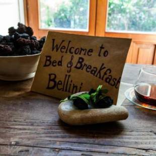 Фотографии мини отеля
B&B Bellini L'Originale