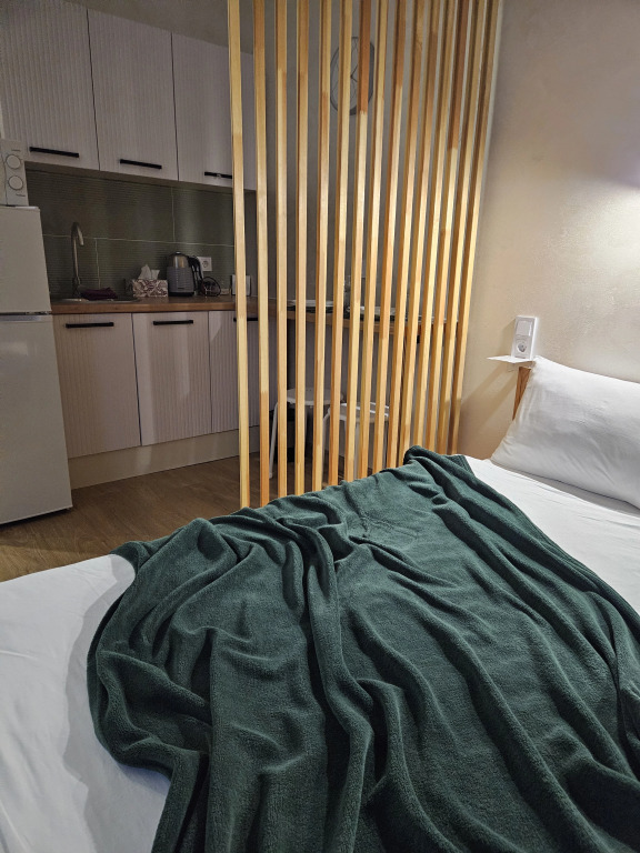 Фотография квартиры Квартира Зелёная студия