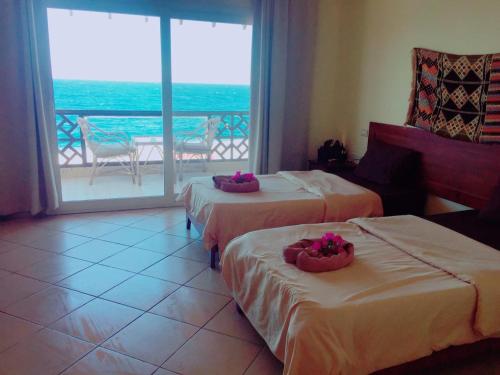 Фотография хостела Club Red Dahab