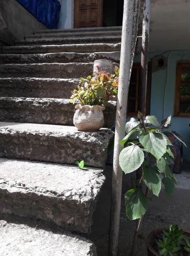 Фотография гостевого дома Chiatura Palace