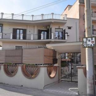 Фотографии мини отеля 
            B&b Le Cycas