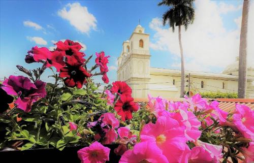 Фотография гостиницы La Casa de Mamapán Hotel Boutique