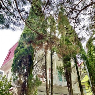 Фотография гостевого дома СВ