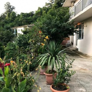 Фотография гостевого дома Kvariati Kako Guest House