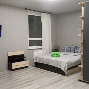 Фотография квартиры Апартаменты Романычева 3