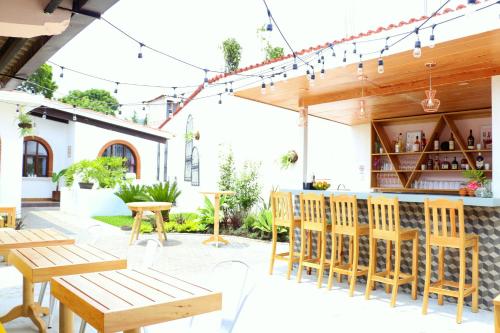 Фотография хостела Maya Papaya