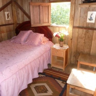 Фотография гостевого дома Patricia and Ned's cloud forest farm