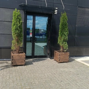 Фотография гостиницы Плаза Новокосино