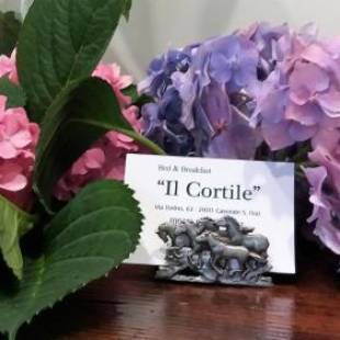 Фотографии мини отеля
B&B il Cortile Malpensa