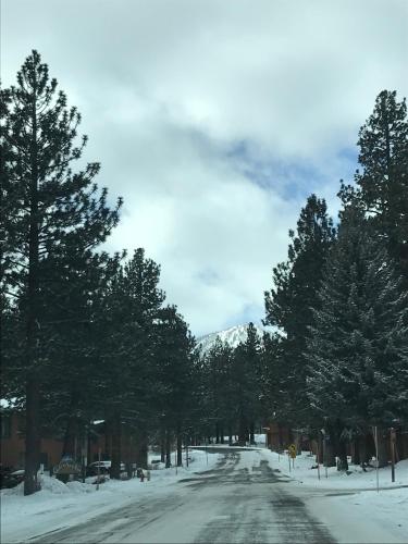 Фотографии гостевого дома
Mountainback #111