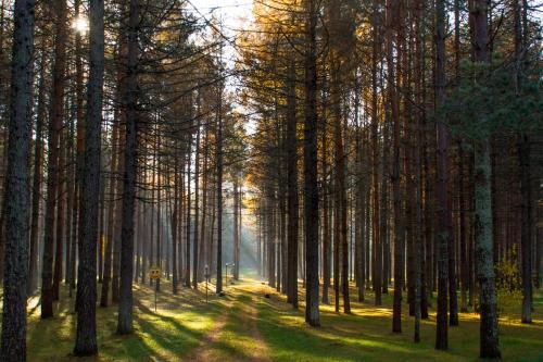 Фотографии гостиницы
Губернский двор