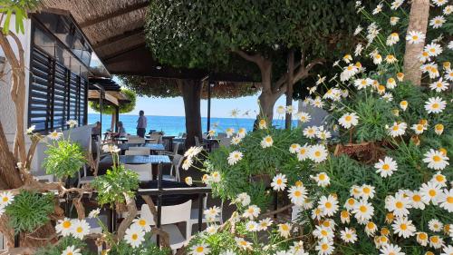 Фотография гостевого дома La Hoya