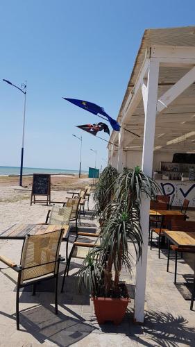 Фотография гостевого дома Два Капитана