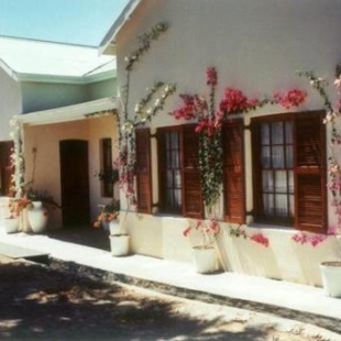Фотография гостевого дома Bougain Villa Guesthouse
