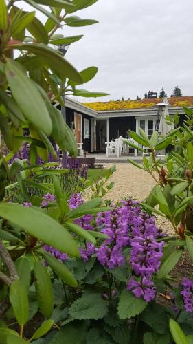 Фотографии гостевого дома
Greenroof