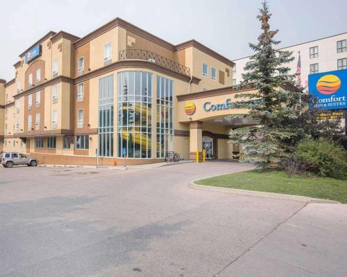 Фотография гостиницы Comfort Inn and Suites University