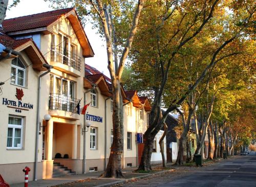 Фотография гостиницы Hotel Platan