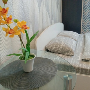 Фотография квартиры Квартира Однокомнатная