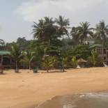 Фотография гостиницы Hotel Palm Rock Beach