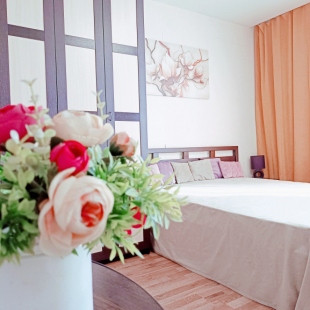 Фотография квартиры Квартира на улице Университетская Набережная 60