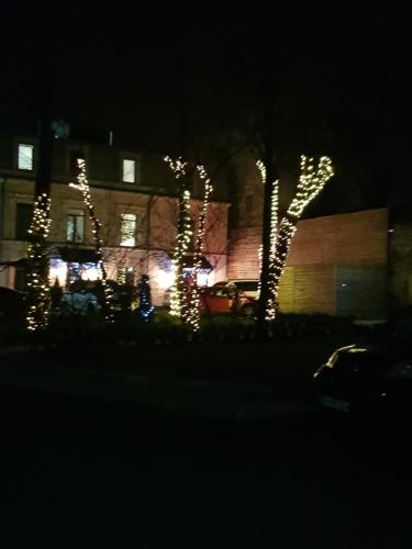 Фотография мини отеля Cozy Patio