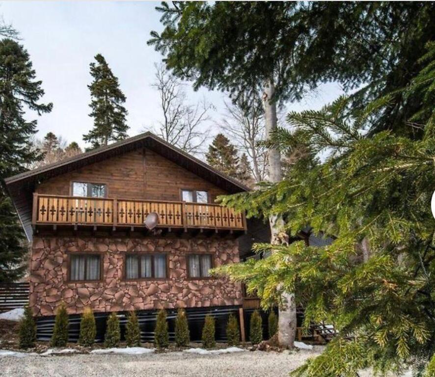 Фотография Коттеджа Flora Plus (Флора плюс)