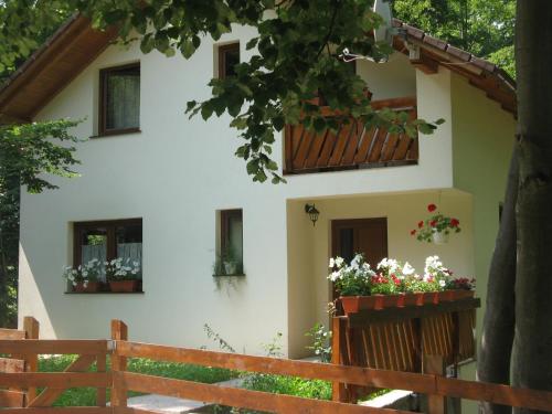 Фотография гостевого дома Casa de vacanta Mogosa