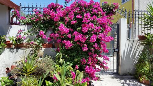 Фотография мини отеля B&B Mitzixeddas