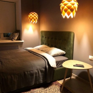 Фотография квартиры Апартаменты Колибри в центре Санкт-Петербурга