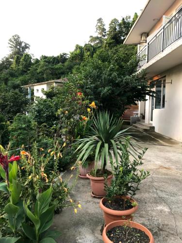 Фотография гостевого дома Kvariati Kako Guest House