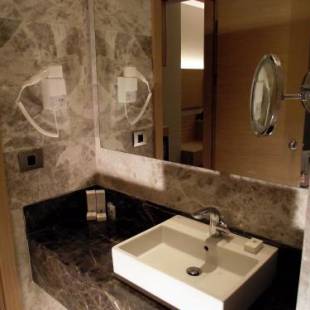 Фотография гостиницы Holiday Inn Ankara - Cukurambar, an IHG Hotel