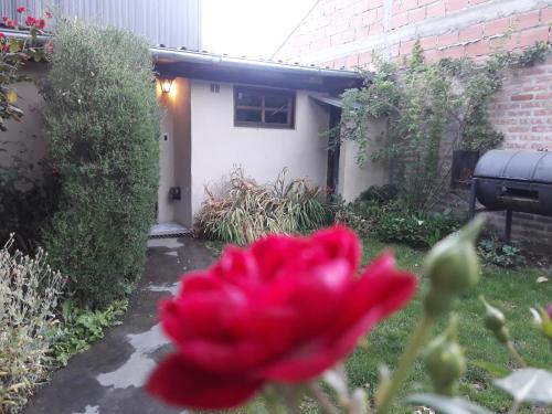 Фотография апарт отеля Cabañas Los Nonos