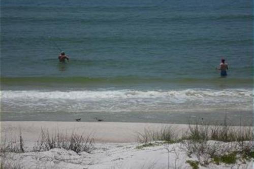 Фотография гостевого дома Recovery Room