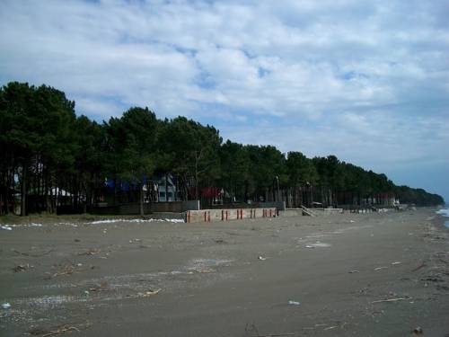 Фотография гостевого дома Guest House Grigoletinskaya