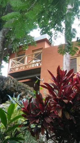 Фотография гостевого дома 3 bedrooms house at Las Galeras 200 m away from the beach with sea view enclosed garden and wifi