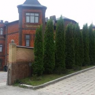 Фотография гостиницы Старый замок